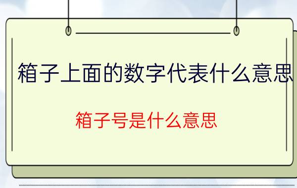 箱子上面的数字代表什么意思 箱子号是什么意思？